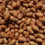 Peanuts