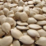 Pumpkin seed husk